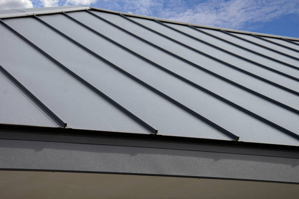 Best Skylight Installation and Repair  in Mcgregor, TX